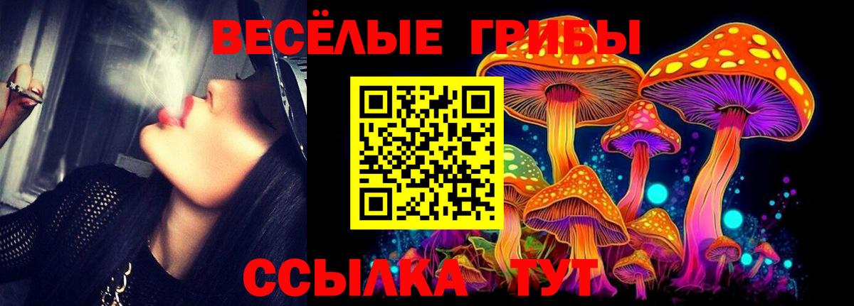 Тихвин  Псилоцибиновые грибы MAGIC MUSHROOMS  Вход с VPN 